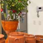 Decoração Feijoada 