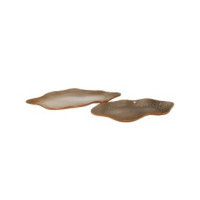 Travessa Organic Terra / Provence G