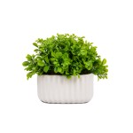 Vaso de Porcelana com  Verdinho