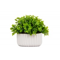 Vaso de Porcelana com  Verdinho Vaso de Porcelana com  Verdinho