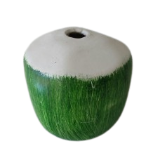 Côco - 001824 Côco - 001824
